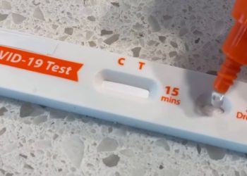 Covid, già in 38 Paesi la variante Kraken