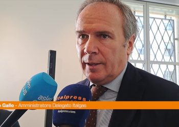 Gas, Gallo “Nei prossimi anni incremento importante del biometano”