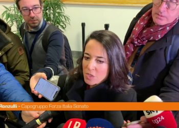 Carburanti, Ronzulli “Nessuna fibrillazione nella maggioranza”