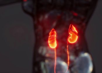 Malattia renale cronica, ne soffrono dieci italiani su cento