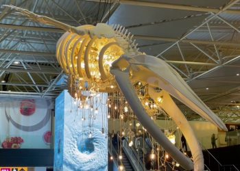 L’aeroporto di Fiumicino s’illumina con l’opera “Grande Anima”