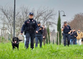 Bocconi avvelenati al parco a Firenze, sopralluogo dell’unità cinofila dei carabinieri forestali