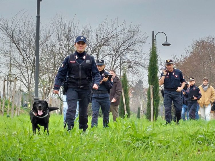 Bocconi avvelenati al parco a Firenze, sopralluogo dell’unità cinofila dei carabinieri forestali