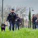 Bocconi avvelenati al parco a Firenze, sopralluogo dell’unità cinofila dei carabinieri forestali