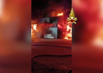 Rovigo, un incendio distrugge parte di una azienda ittica. Le immagini