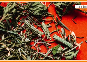 Sorsi di benessere – Un infuso agrumato che facilita la digestione