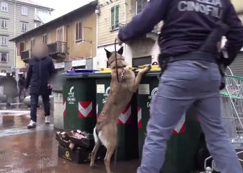 Sgominata piazza di spaccio a Torino