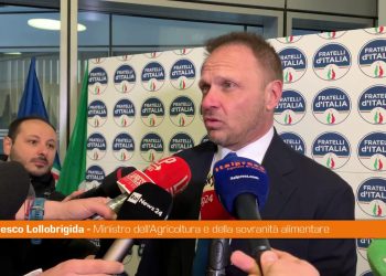 Lollobrigida “Non ci sono tensioni particolari nella maggioranza”