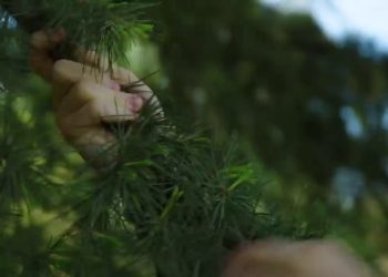 Per le nuove generazioni la protezione è un “trend” di cambiamento