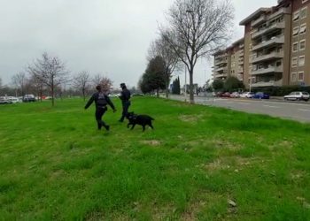 Cani avvelenati a Firenze, bonifica dell’unità cinofila