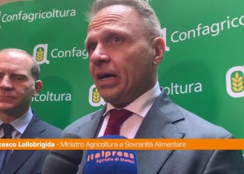 Vino, Lollobrigida “Con Francia e Spagna contro etichetta Irlanda”