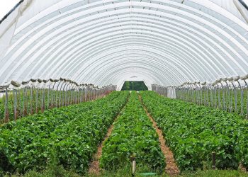 A Vittoria si parla di agricoltura, rincari energia e concorrenza sleale