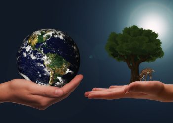 La Regione Siciliana premia i Comuni più green