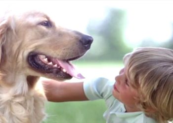 La terapia con i cani per i disturbi di personalità