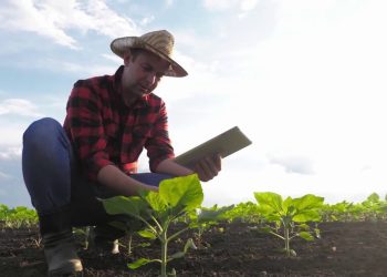 Agroalimentare, Pil in aumento nel terzo trimestre 2022