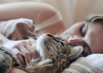 Fusa, pancia e coda, come comunicano i gatti