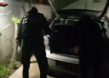 Messina Denaro, arrestato Andrea Bonafede. Le immagini