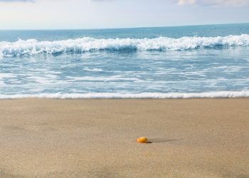 Meteo, caldo anomalo e temperature primaverili in Sicilia