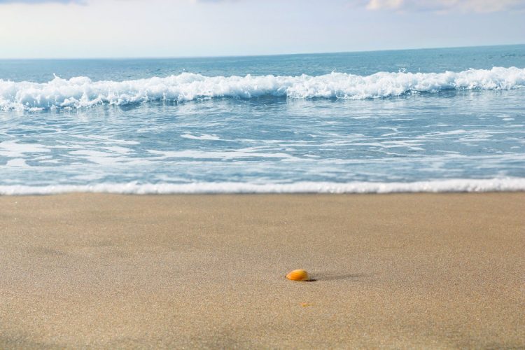 Meteo, caldo anomalo e temperature primaverili in Sicilia