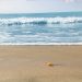 Meteo, caldo anomalo e temperature primaverili in Sicilia
