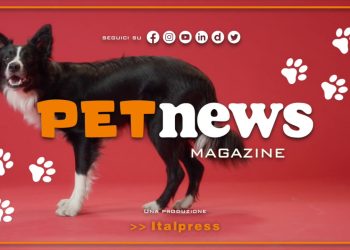 PetNews Magazine – 31/1/2023