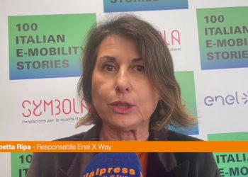 Mobilità, Ripa “Fare sistema per diffondere quella elettrica”