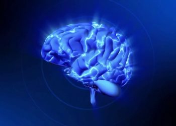 Scoperti i meccanismi cerebrali che causano l’indecisione