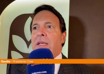 Gaudio “Il verde urbano è un investimento per la salute”