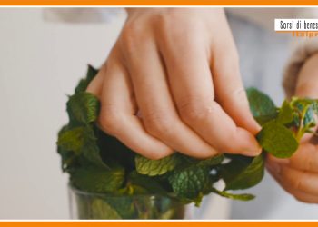 Sorsi di benessere – Timo e menta per una tisana alleata della gola