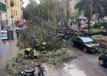 Momenti di paura a Napoli per due episodi causati dal maltempo: a piazza Cavour un grosso albero è caduto sulle auto in sosta