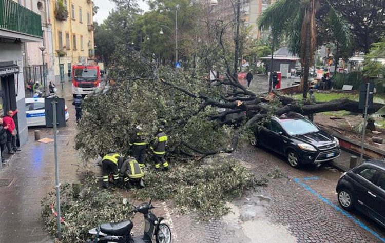 Momenti di paura a Napoli per due episodi causati dal maltempo: a piazza Cavour un grosso albero è caduto sulle auto in sosta