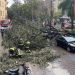Momenti di paura a Napoli per due episodi causati dal maltempo: a piazza Cavour un grosso albero è caduto sulle auto in sosta