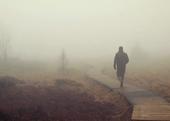 Cosa succede durante la morte? Scoperto cosa si vede quando si muore: è incredibile