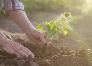 Finanza sostenibile, interesse in calo ma propensione resta alta