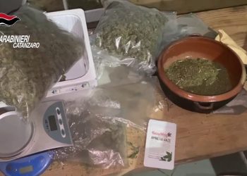 Scoperto traffico di droga a Catanzaro, coinvolti anche minorenni