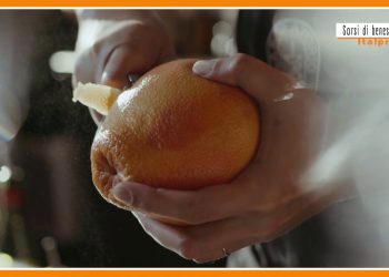 Sorsi di benessere – Una bevanda tonica e stimolante alternativa al tè