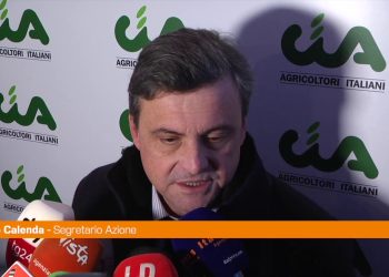 Cospito, Calenda “Sul 41 bis devono decidere i medici”