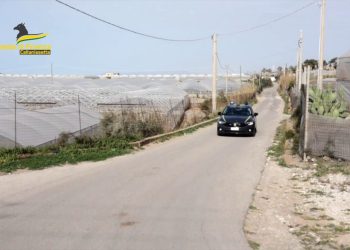 Sfruttamento di braccianti agricoli nel Nisseno, un arresto