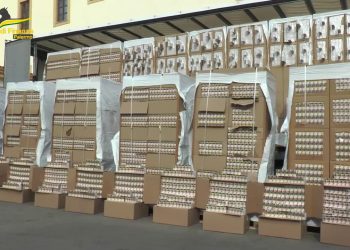 Palermo, cane “finanziere” scopre carico sigarette di contrabbando