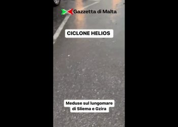 A Malta volano meduse sul lungomare, le immagini sorprendenti