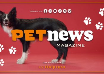 PetNews Magazine – 21/2/2023
