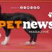 PetNews Magazine – 21/2/2023