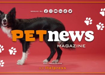 PetNews Magazine – 14/2/2023