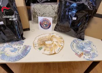 Colpo a spaccio di stupefacenti, 14 arresti tra Lombardia e Piemonte