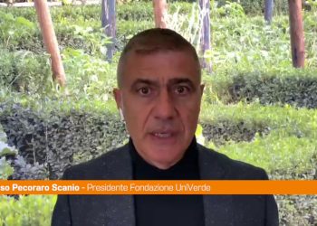 Pecoraro Scanio “Bene apertura Conte a Schlein per area progressista”