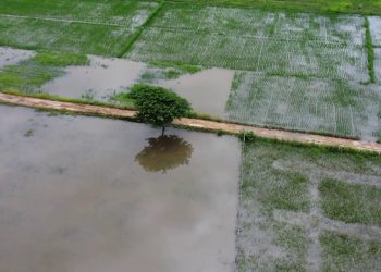 Clima, adesso si teme la siccità