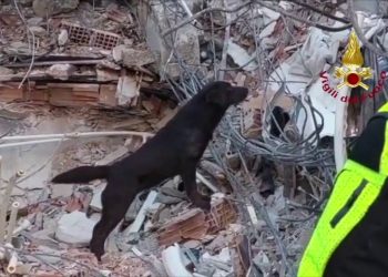 Sisma Turchia, proseguono operazioni del nuovo contingente italiano