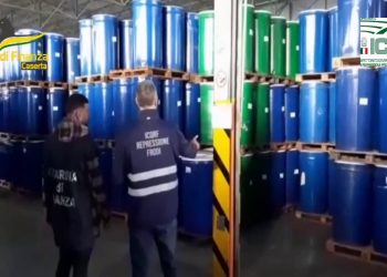 Falsi prodotti Bio, scoperta una frode milionaria