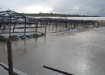 Maltempo, aziende agricole ragusane sott'acqua