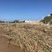Danni per maltempo, un tappeto di canne sulle spiagge sciclitane